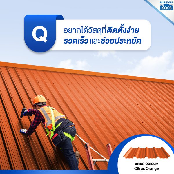 ซิตรัส โอเร้นจ์ บลูสโคป แซคส์ (BLUESCOPE ZACS®)