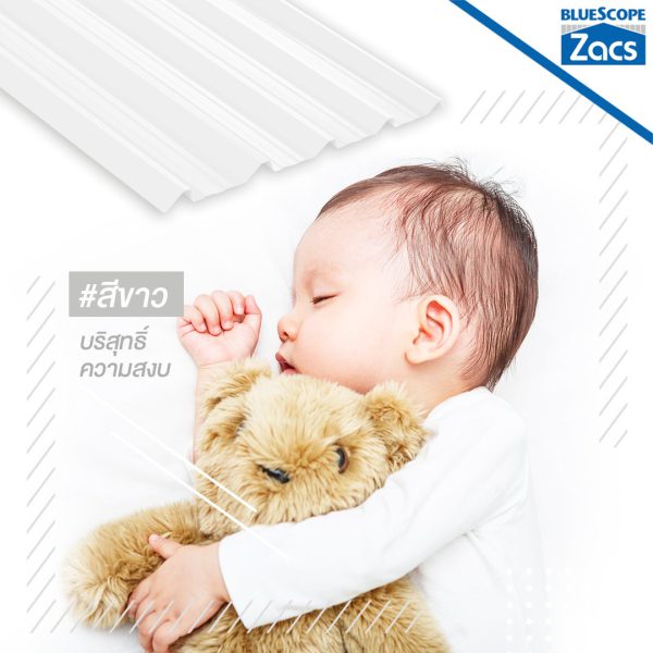 เอเชี่ยน ไวท์ บลูสโคป แซคส์ (BLUESCOPE ZACS®)
